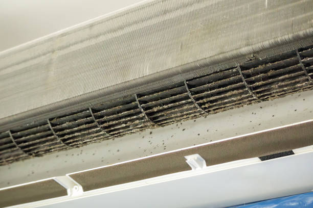 Best HVAC Duct Inspection Services  in Ballwin, MO
